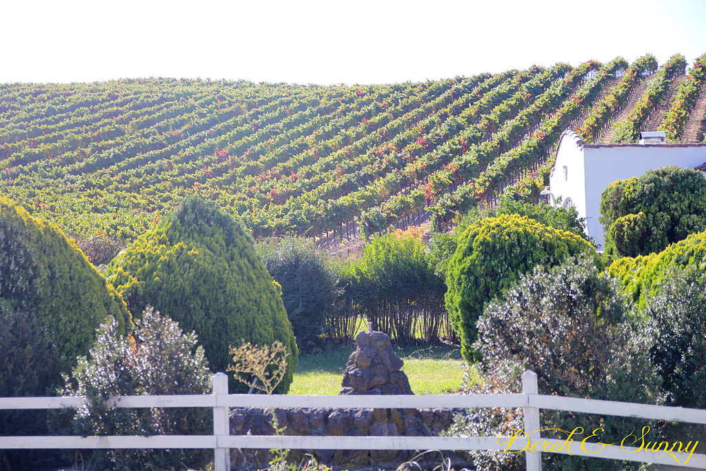 加州陽光-NAPA Valley-酒鬼的抉擇Domaine Carneros酒莊 (氣泡酒)