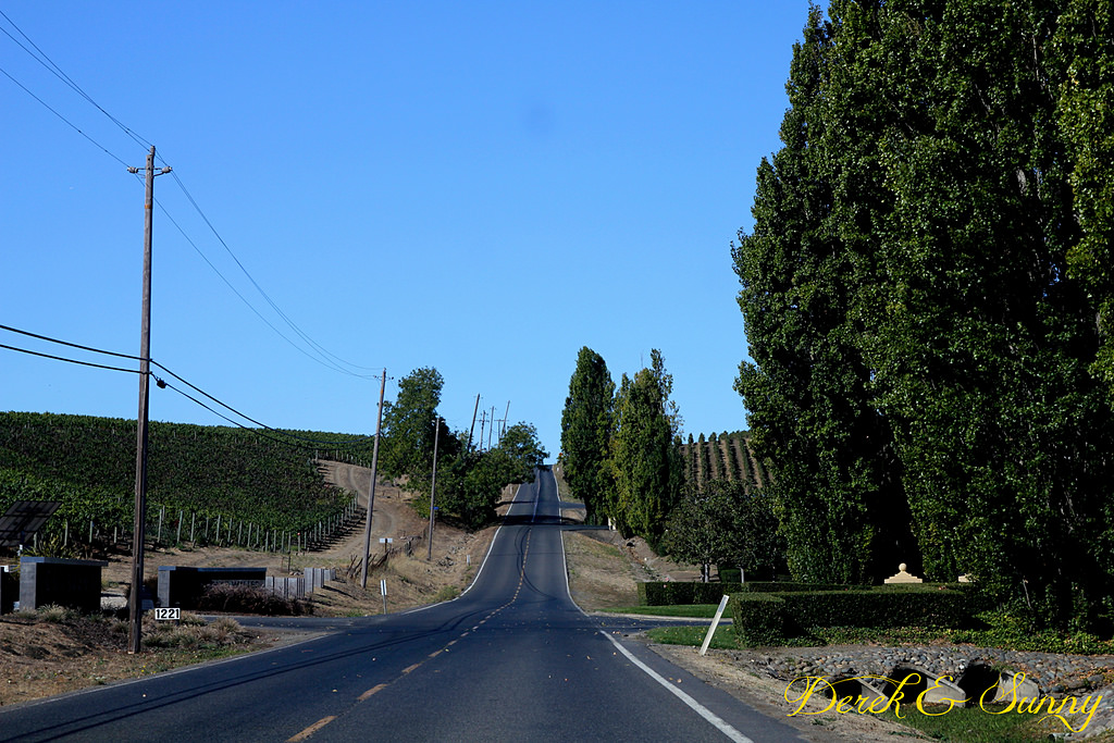 加州陽光-NAPA Valley-酒鬼的抉擇Domaine Carneros酒莊 (氣泡酒)