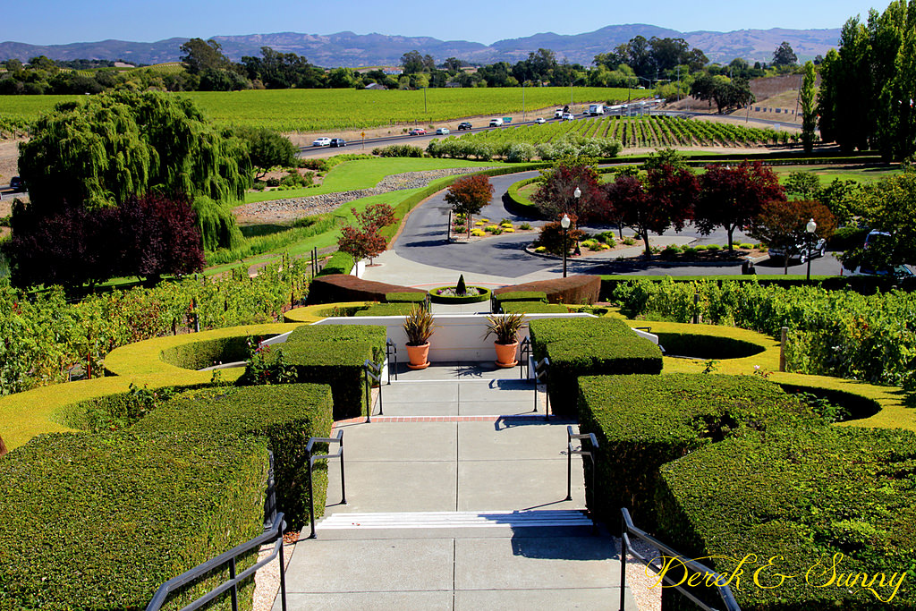 加州陽光-NAPA Valley-酒鬼的抉擇Domaine Carneros酒莊 (氣泡酒)