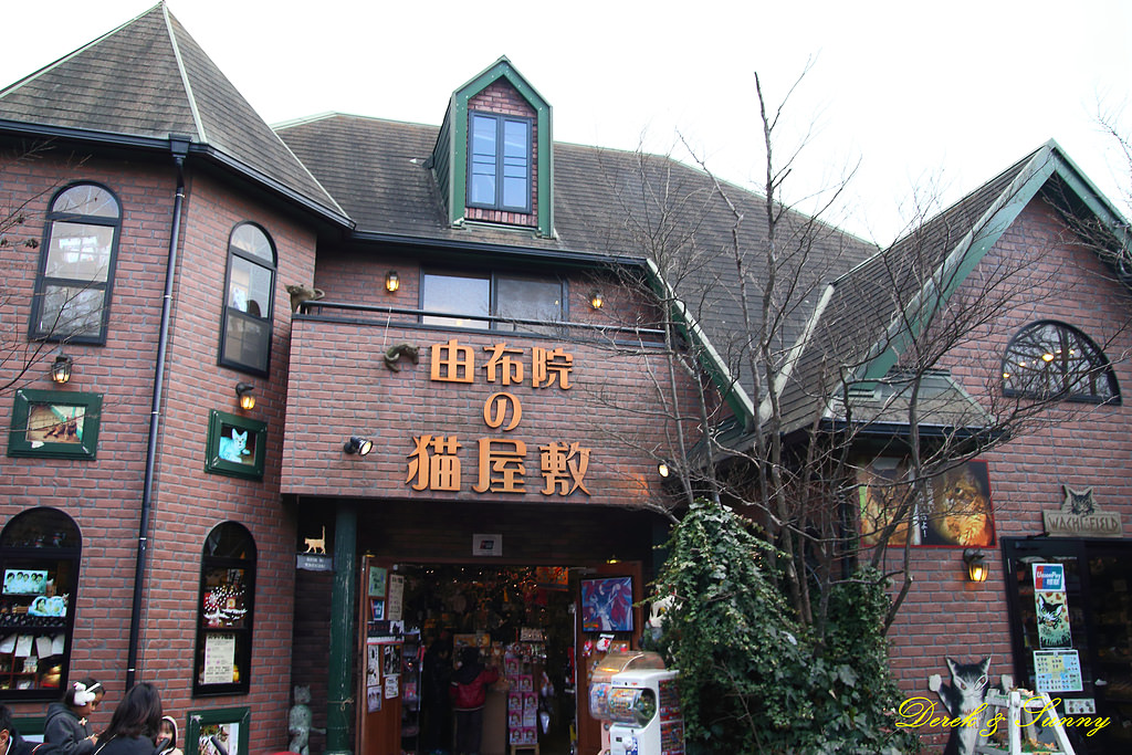 北九州之旅-玩-由布院溫泉 金鱗湖