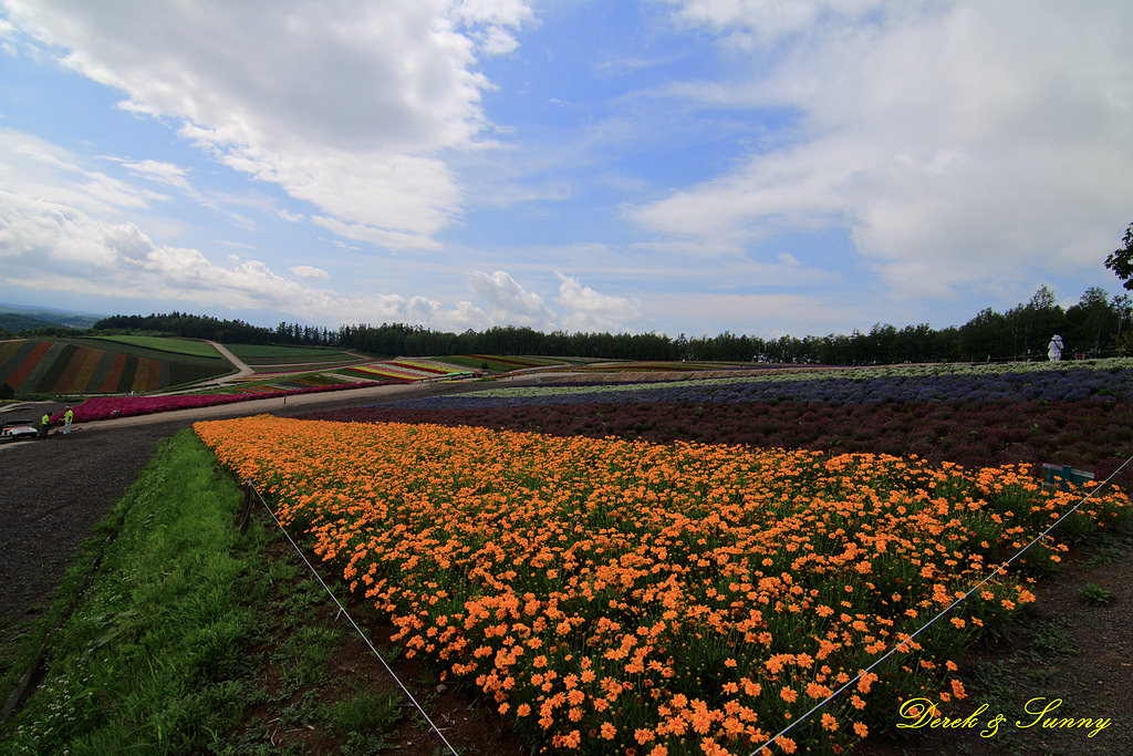 NEOGEO07.jpg - 北海道_四季彩之丘_全景之路