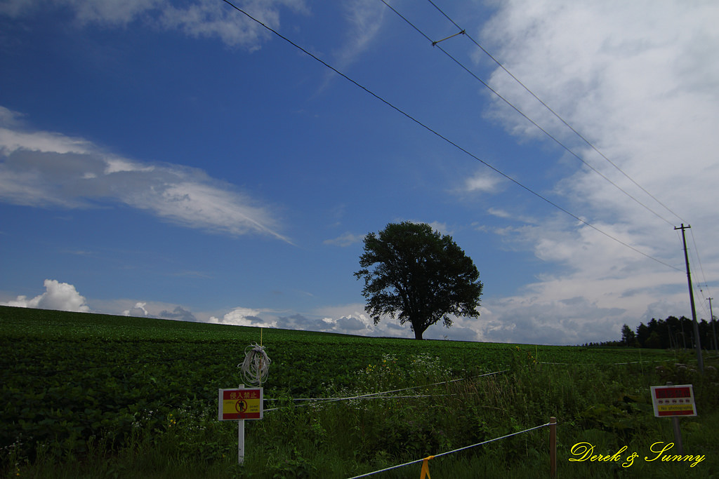 NEOGEO26.jpg - 北海道_四季彩之丘_全景之路