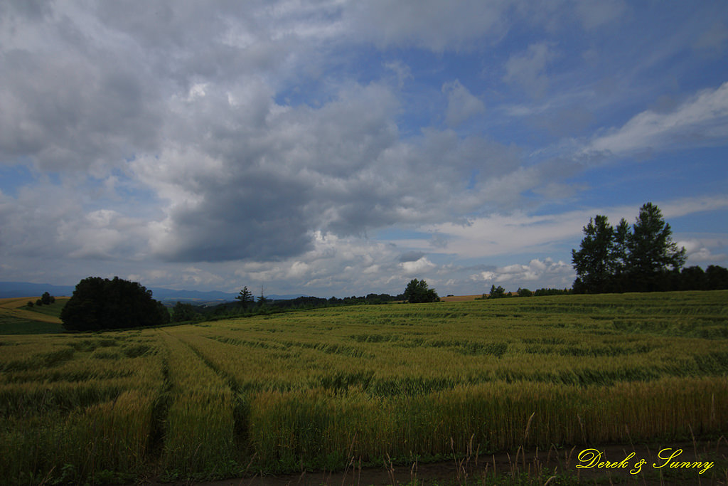 NEOGEO28.jpg - 北海道_四季彩之丘_全景之路