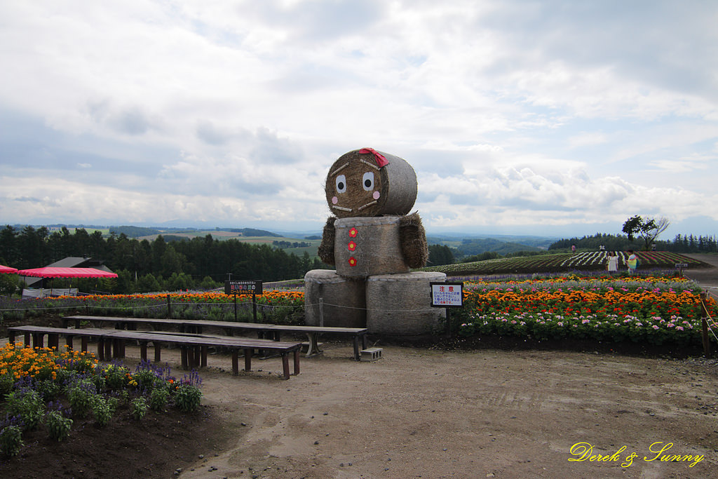 NEOGEO03.jpg - 北海道_四季彩之丘_全景之路