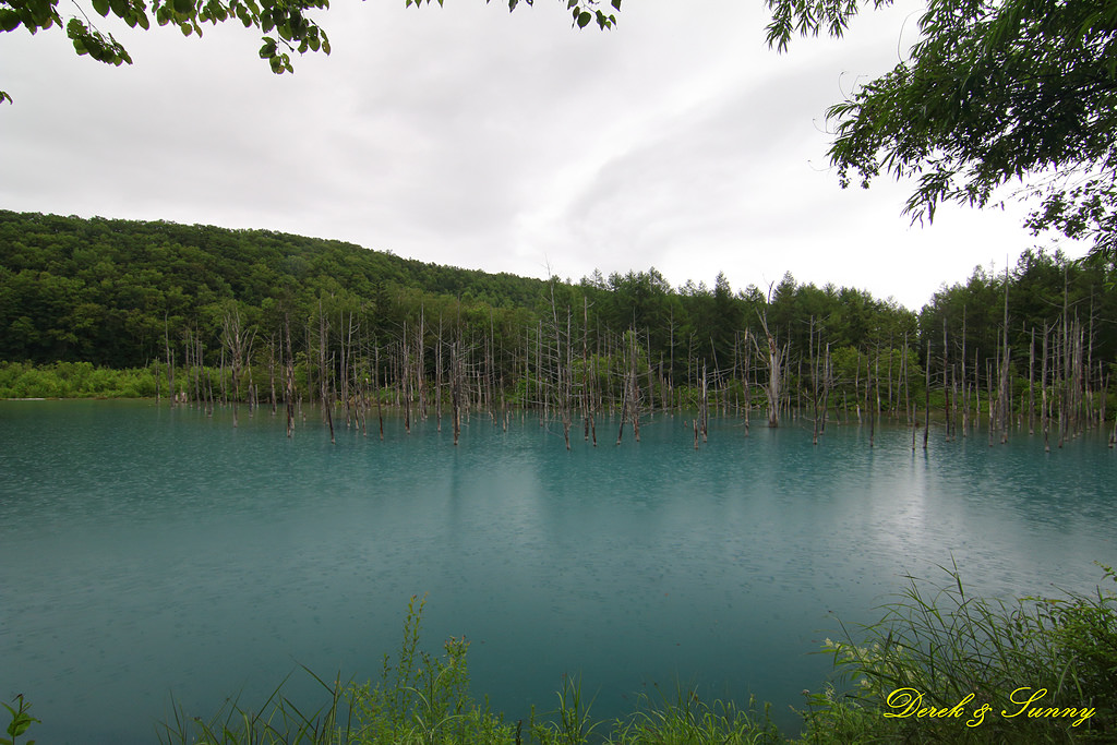 NEOGEO27.jpg - 北海道_拼布之路_白金青池