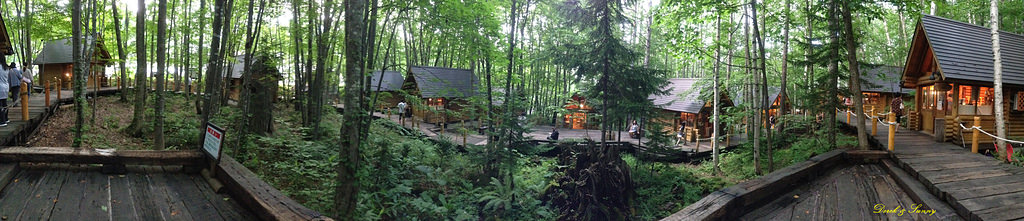 NEOGEO30.jpg - 北海道_富良野_ニングルテラス_森之精靈露台