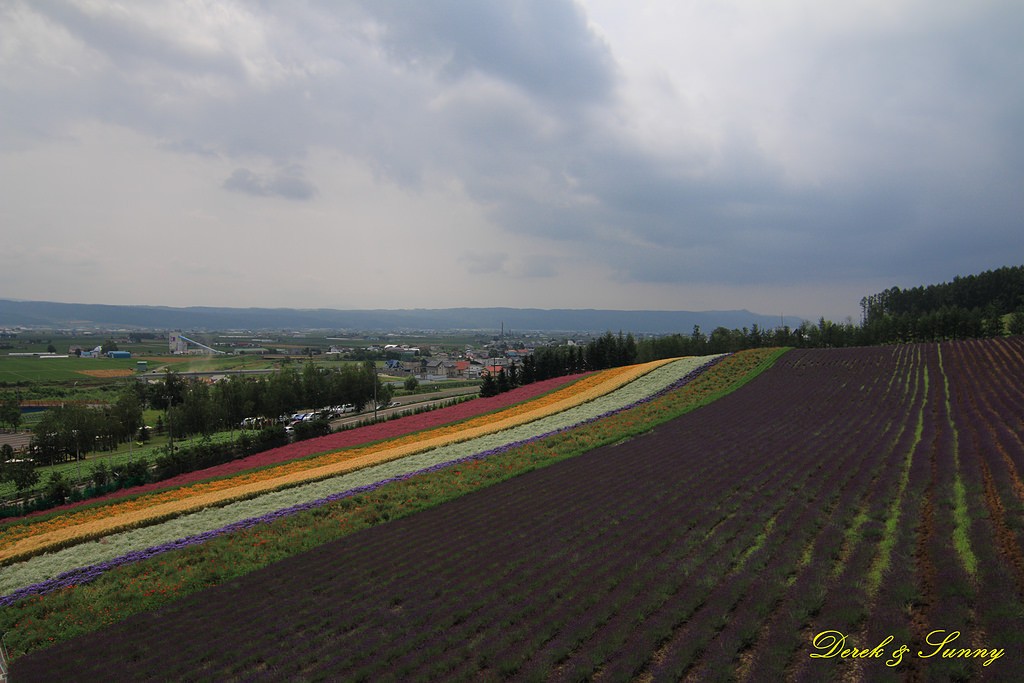 NEOGEO25.jpg - 北海道_富良野_富田農場