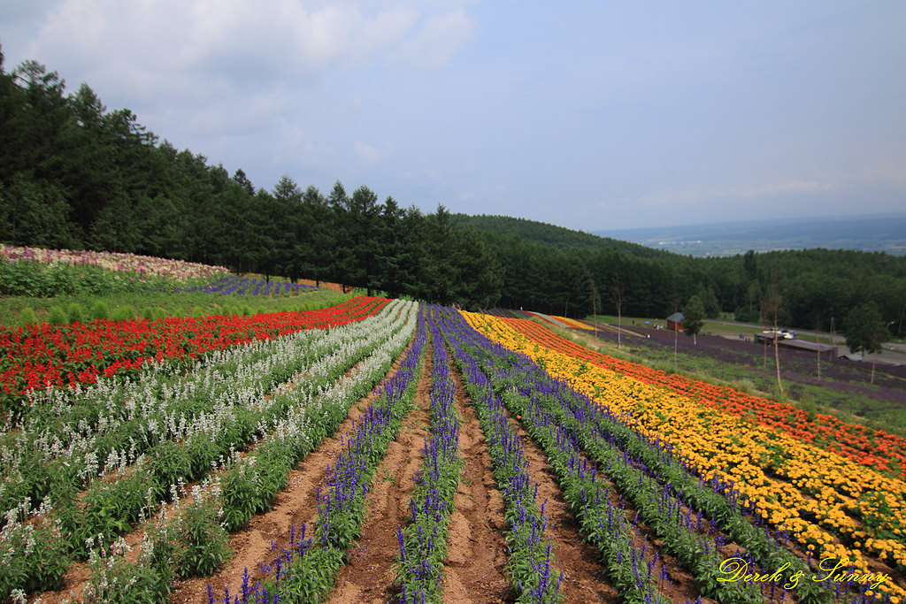 NEOGEO15.jpg - 北海道_富良野_彩香之里