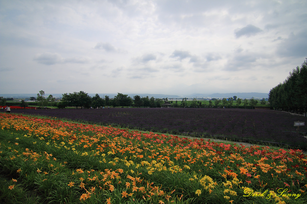 NEOGEO02.jpg - 北海道_富良野_富田農場