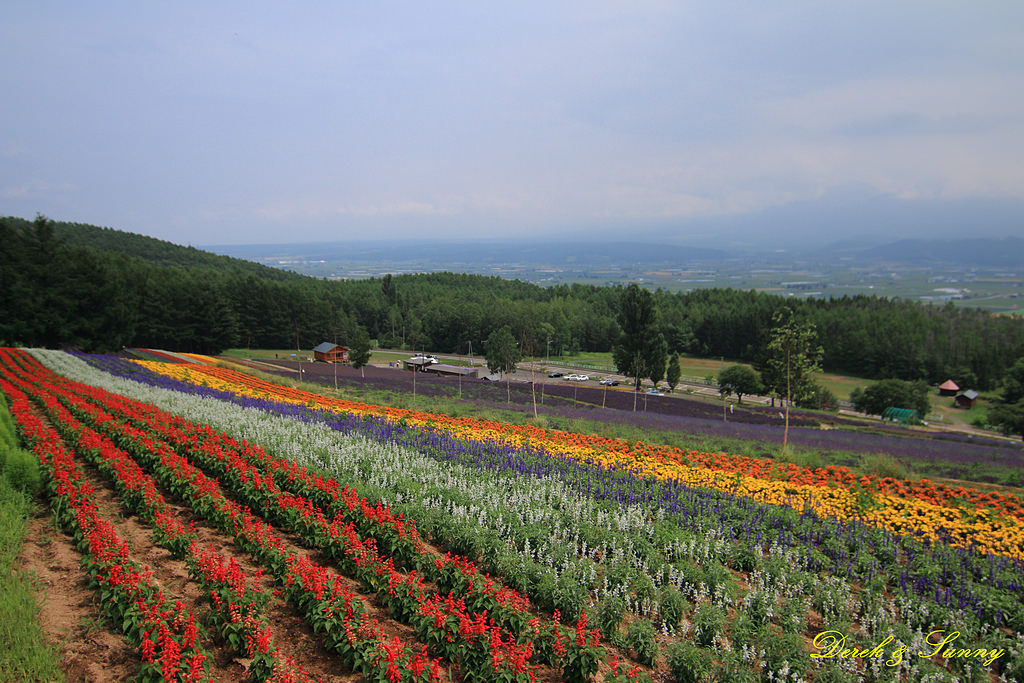 NEOGEO14.jpg - 北海道_富良野_彩香之里