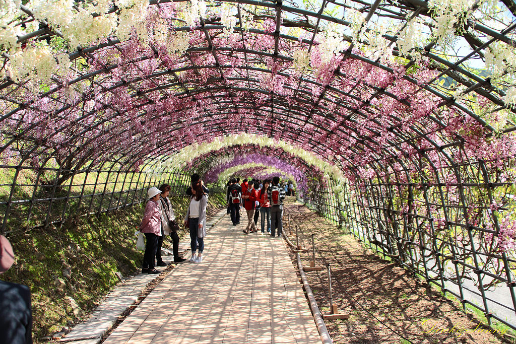 Neogeo05.jpg 九州 北九州 河內藤園