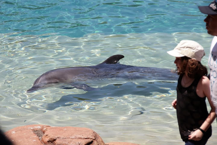 澳洲_黃金海岸_海洋世界_Sea World