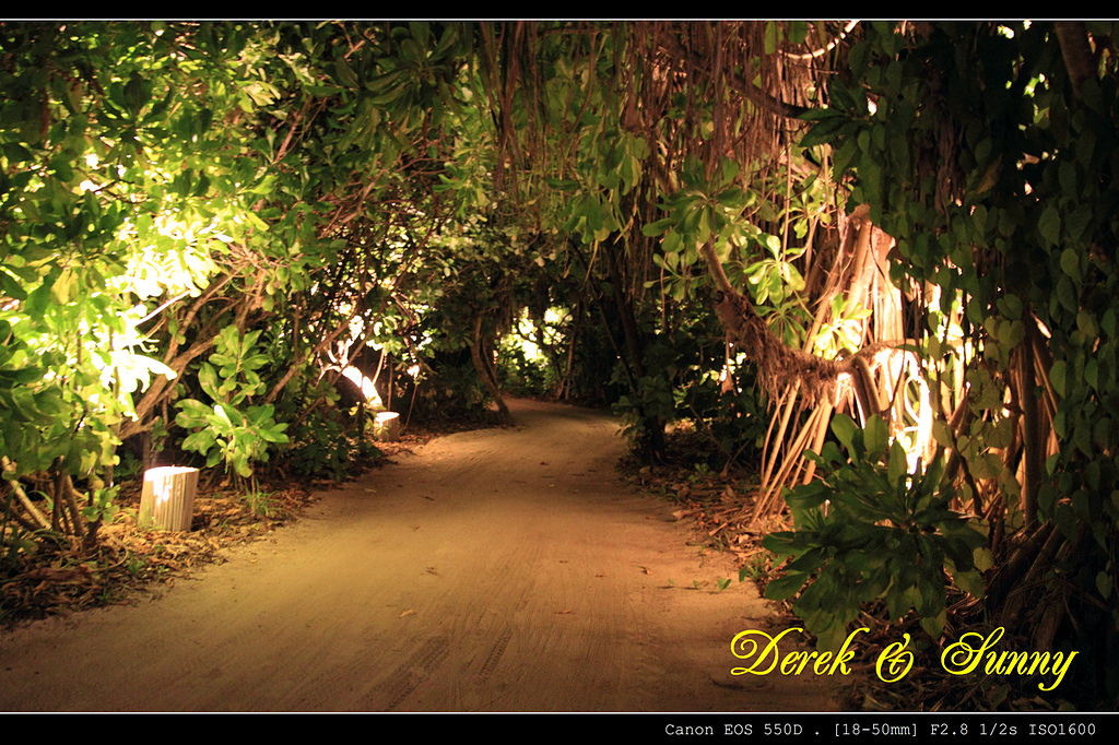 馬爾地夫-島上漫遊(Six Senses Laamu)