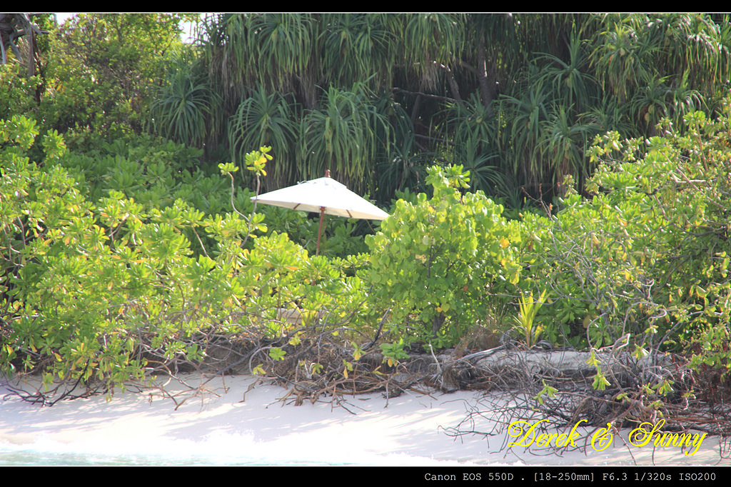 馬爾地夫-島上漫遊(Six Senses Laamu)
