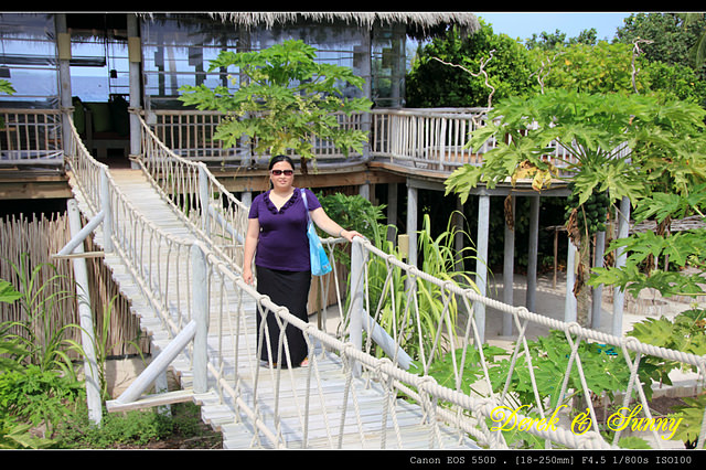 馬爾地夫-天堂的主區(Six Senses Laamu)