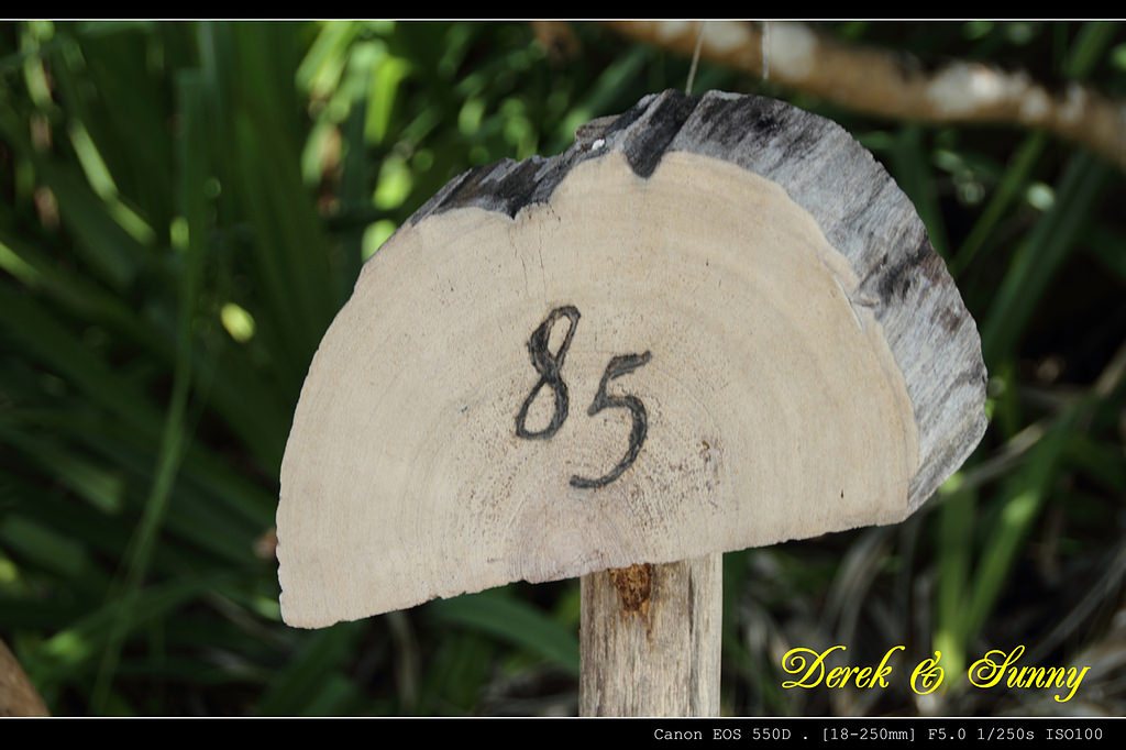 馬爾地夫-島上漫遊(Six Senses Laamu)