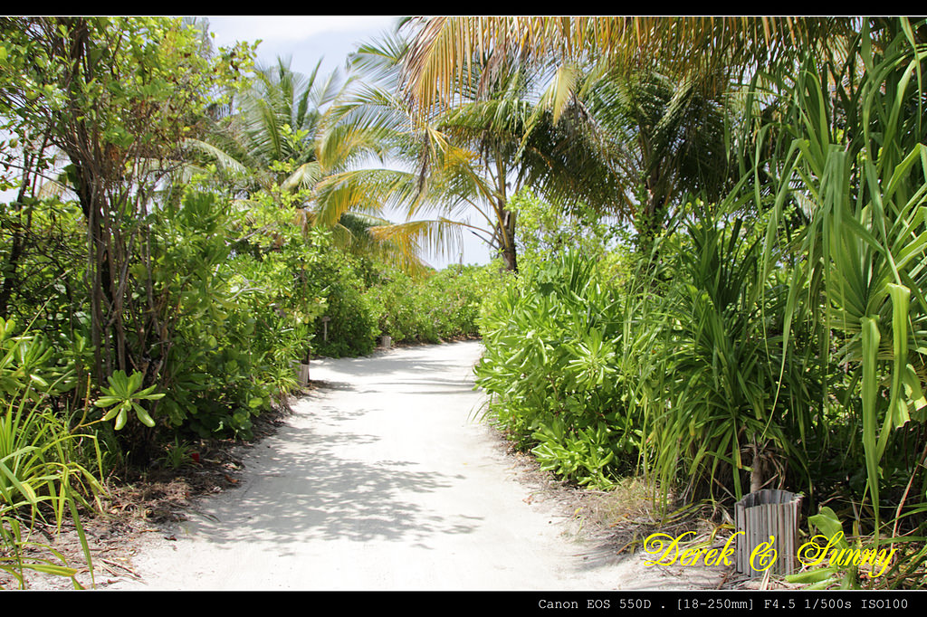 馬爾地夫-島上漫遊(Six Senses Laamu)