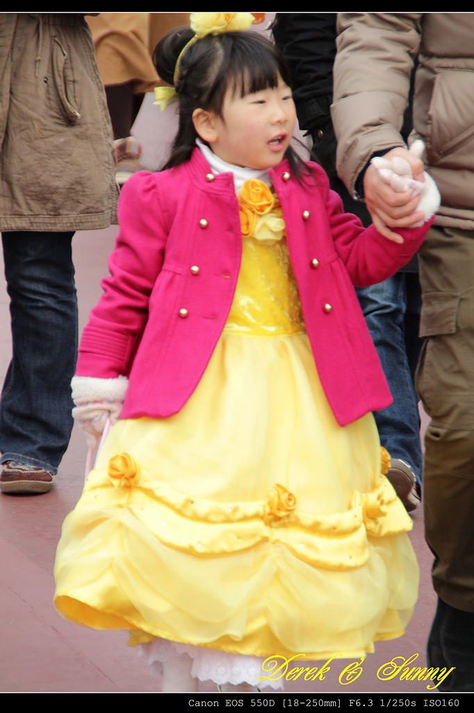 日本東京-迪士尼樂園