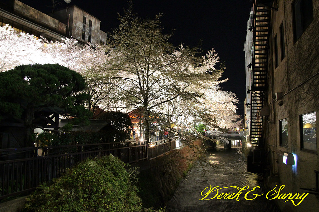 日本京阪賞櫻-櫻花篇-高瀨川夜櫻、祇園白川夜櫻