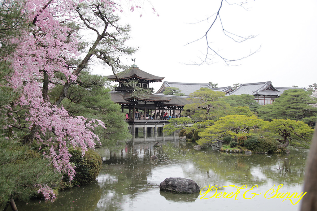 日本京阪賞櫻-櫻花篇-平安神宮&哲學之道