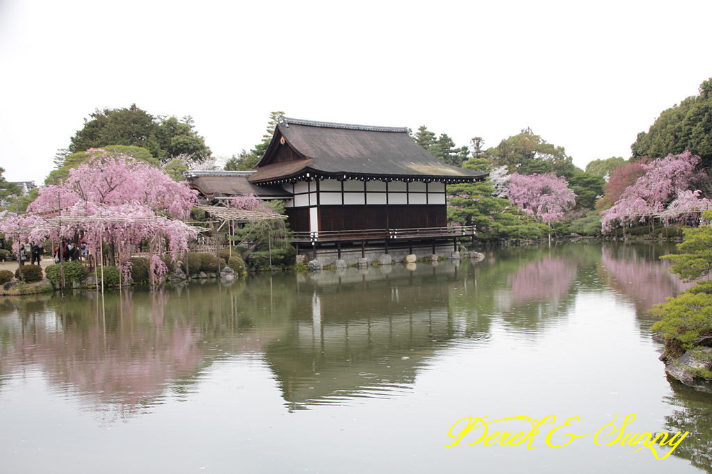 日本京阪賞櫻-櫻花篇-平安神宮&哲學之道