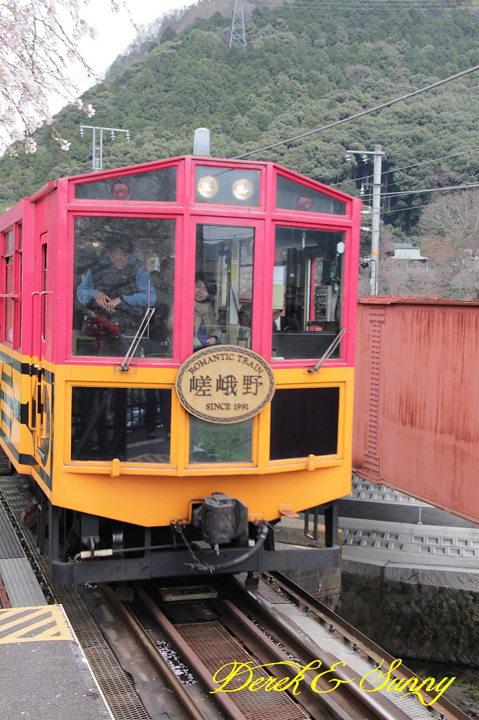 日本京阪賞櫻-櫻花篇-嵯峨野小火車