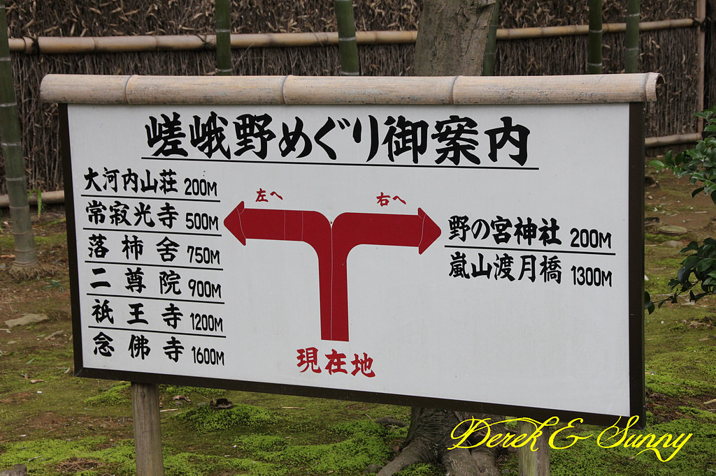 日本京阪賞櫻-櫻花篇-天龍寺&金閣寺
