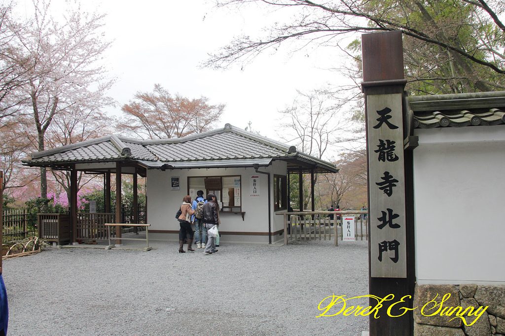 日本京阪賞櫻-櫻花篇-天龍寺&金閣寺