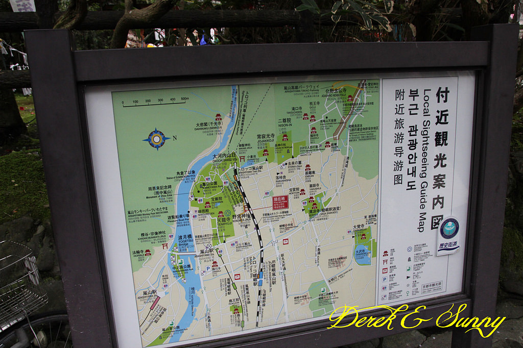日本京阪賞櫻-櫻花篇-天龍寺&金閣寺