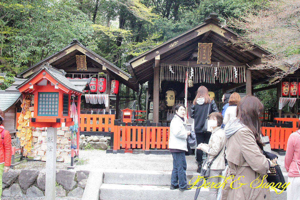 日本京阪賞櫻-櫻花篇-天龍寺&金閣寺