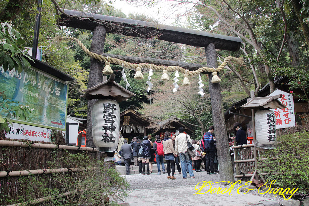 日本京阪賞櫻-櫻花篇-天龍寺&金閣寺