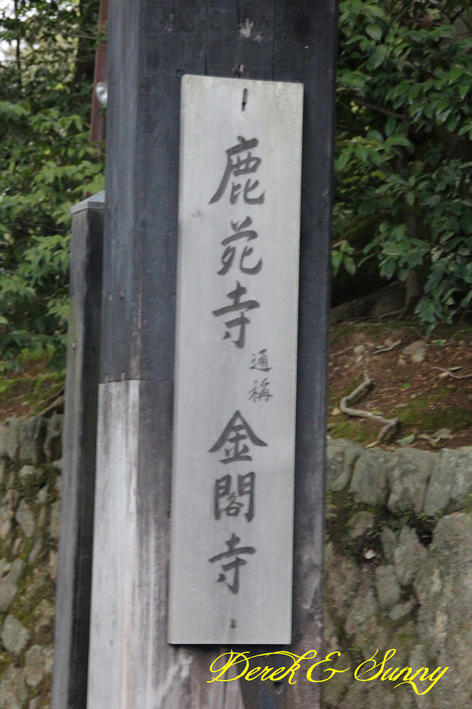 日本京阪賞櫻-櫻花篇-天龍寺&金閣寺