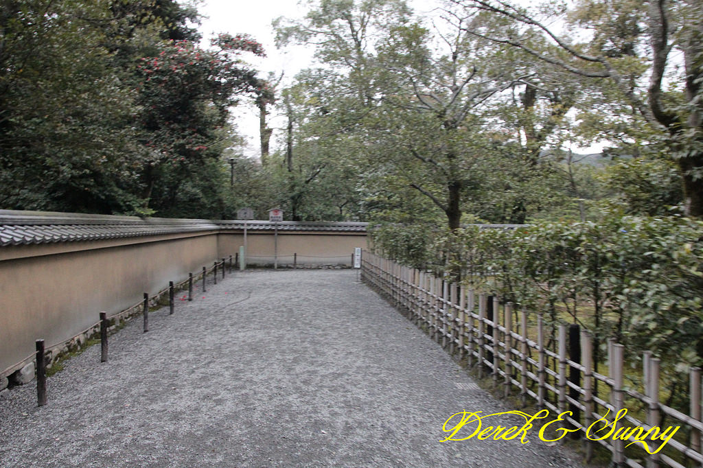日本京阪賞櫻-櫻花篇-天龍寺&金閣寺