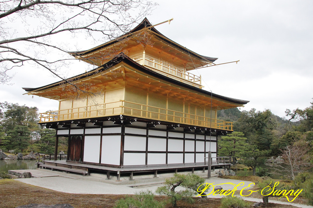 日本京阪賞櫻-櫻花篇-天龍寺&金閣寺