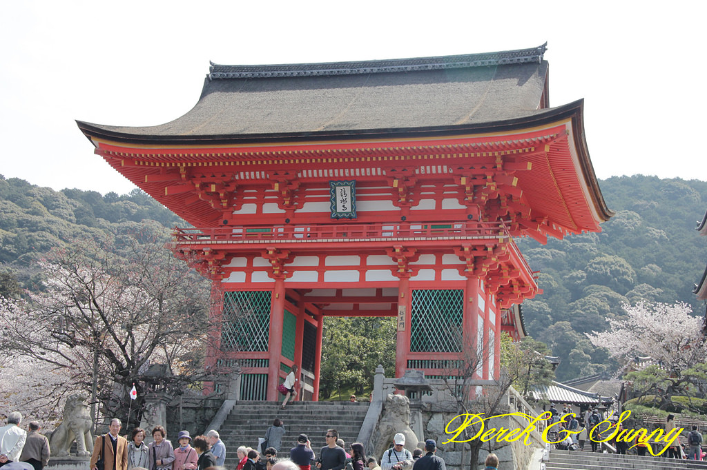 日本京阪賞櫻-櫻花篇-清水寺&2、3年坂&高台寺