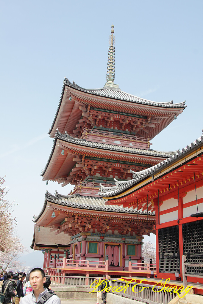 日本京阪賞櫻-櫻花篇-清水寺&2、3年坂&高台寺