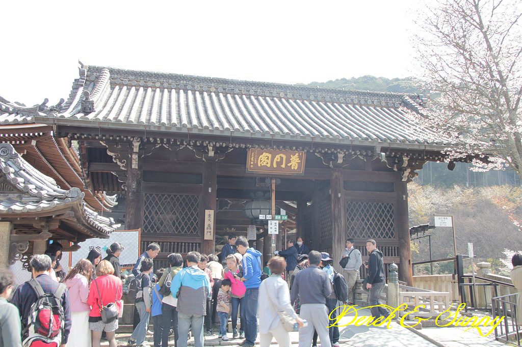 日本京阪賞櫻-櫻花篇-清水寺&2、3年坂&高台寺