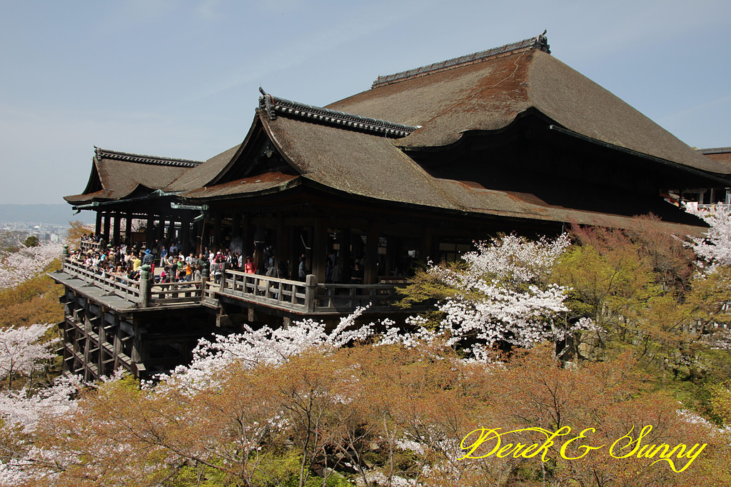 日本京阪賞櫻-櫻花篇-清水寺&2、3年坂&高台寺