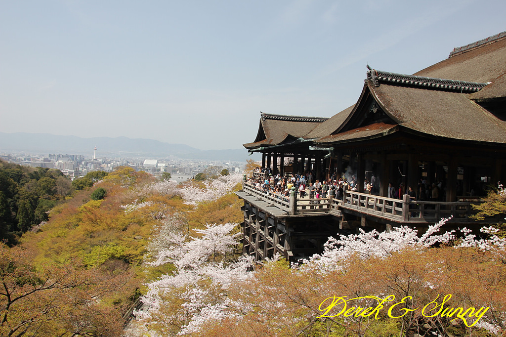 日本京阪賞櫻-櫻花篇-清水寺&2、3年坂&高台寺
