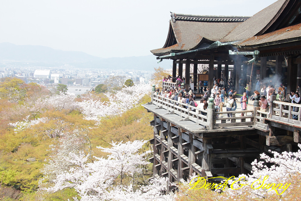 日本京阪賞櫻-櫻花篇-清水寺&2、3年坂&高台寺
