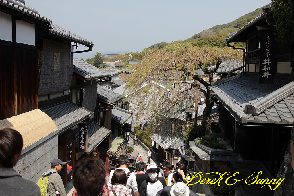 日本京阪賞櫻-櫻花篇-清水寺&2、3年坂&高台寺