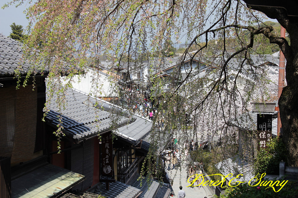 日本京阪賞櫻-櫻花篇-清水寺&2、3年坂&高台寺