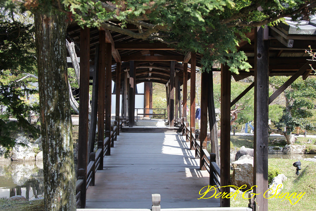 日本京阪賞櫻-櫻花篇-清水寺&2、3年坂&高台寺