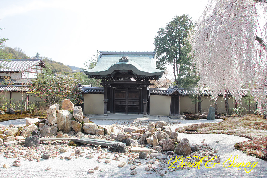 日本京阪賞櫻-櫻花篇-清水寺&2、3年坂&高台寺