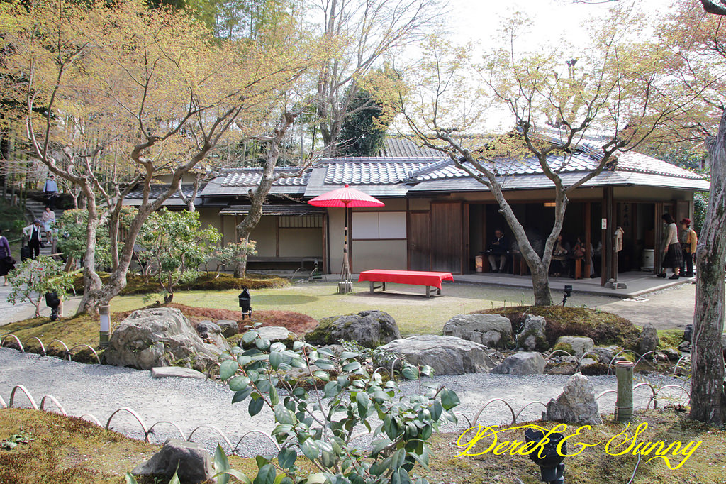 日本京阪賞櫻-櫻花篇-清水寺&2、3年坂&高台寺