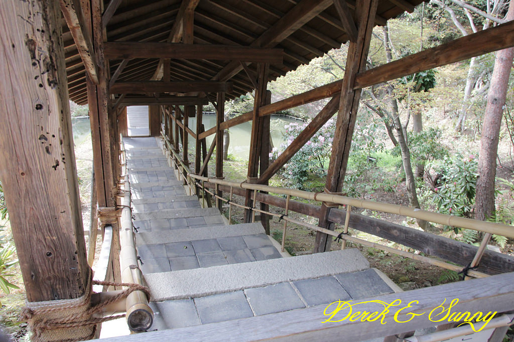 日本京阪賞櫻-櫻花篇-清水寺&2、3年坂&高台寺
