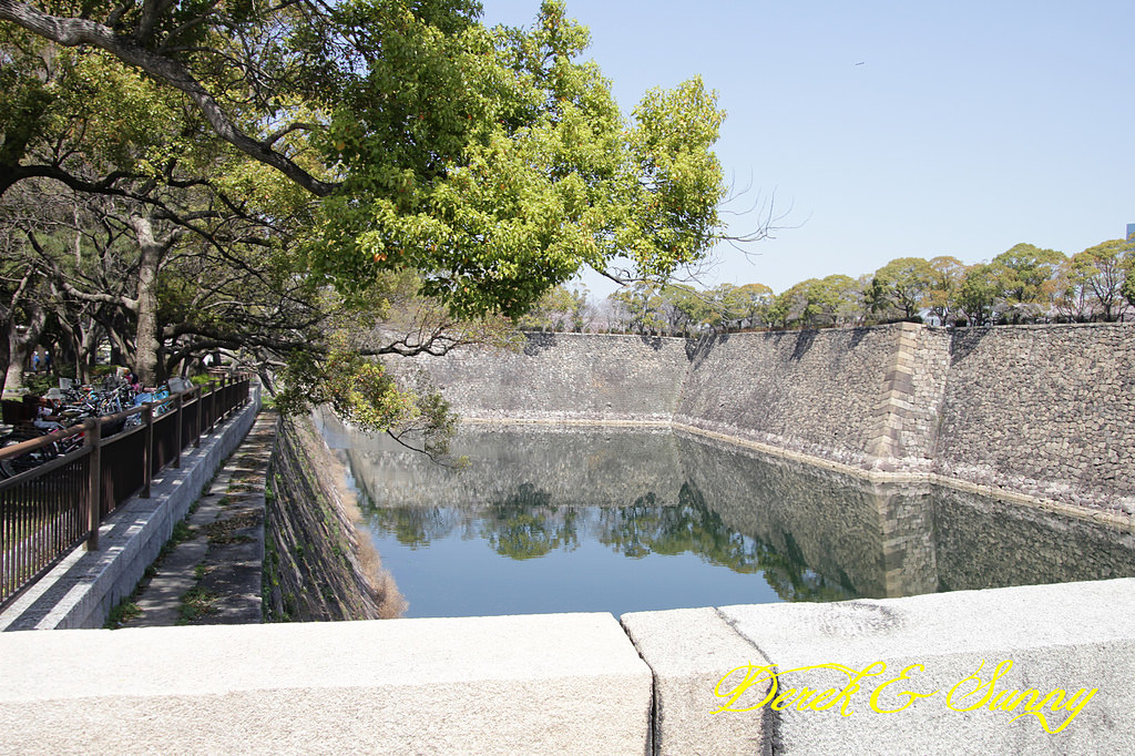 日本京阪賞櫻-櫻花篇-大阪城
