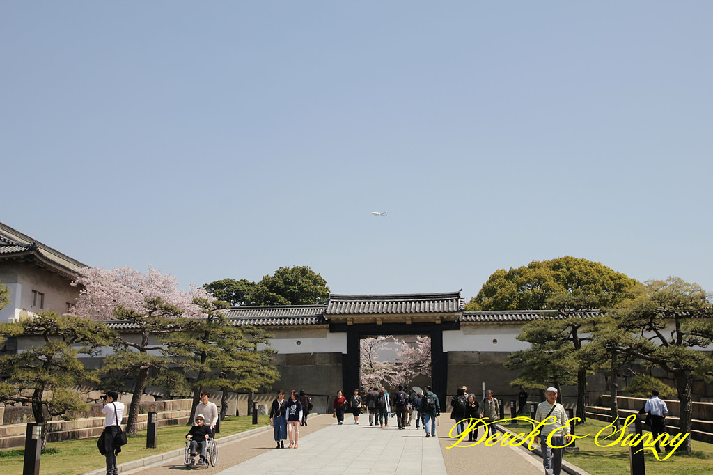 日本京阪賞櫻-櫻花篇-大阪城
