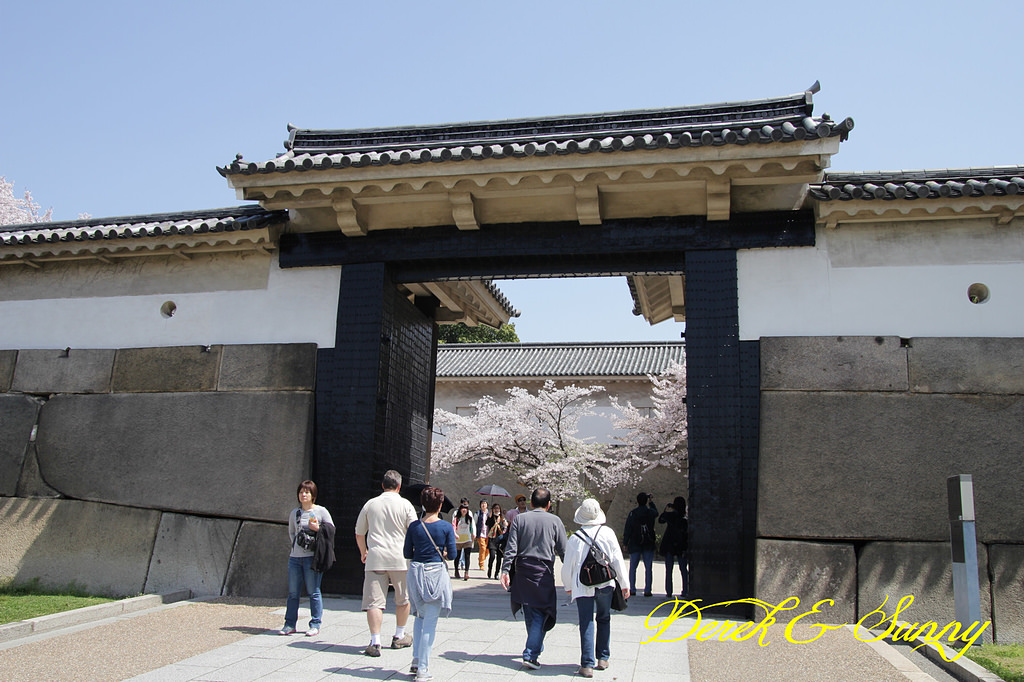 日本京阪賞櫻-櫻花篇-大阪城