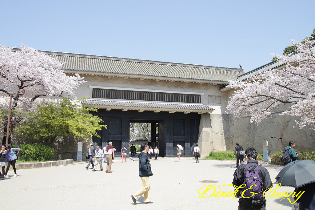 日本京阪賞櫻-櫻花篇-大阪城